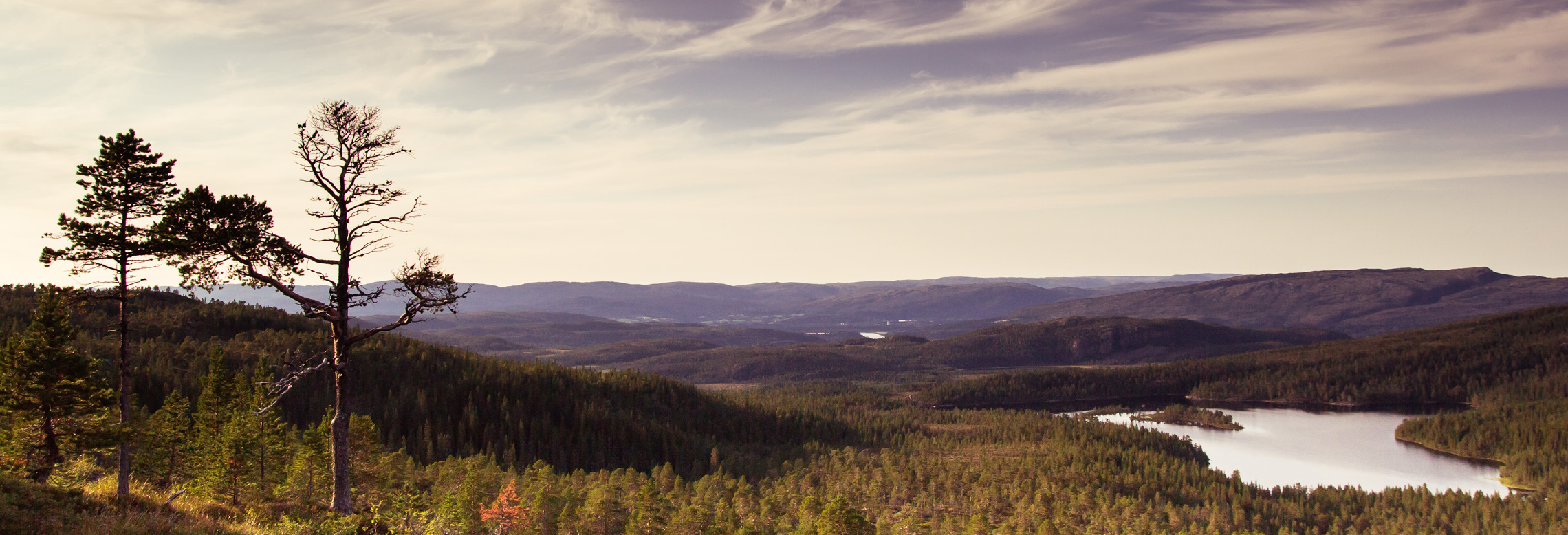 Fjelloppsynet viser vei til småviltjakta i Overhalla